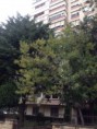 /album/resim-galerisi/mekke6-jpg1/