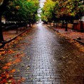/album/resim-galerisi/b8aaae8a37d311e397d322000aaa0a71-6-jpg/