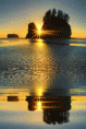 /album/resim-galerisi/resssss-gif/